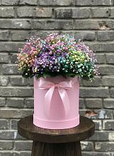 Цветочная композиция из Гипсофила и Розы в шляпной коробке в Землянске