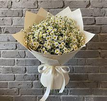 Букет цветов из:  Ромашки в Землянске