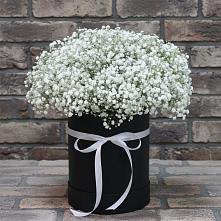 Цветочная композиция из Гипсофила в шляпной коробке в Землянске