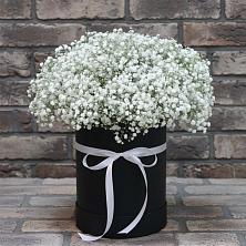 Цветочная композиция из Гипсофила в шляпной коробке в Землянске