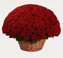 Премиум букет из: Розы в Землянске